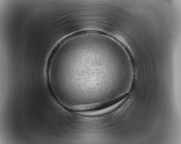 X0000088671068200706071455