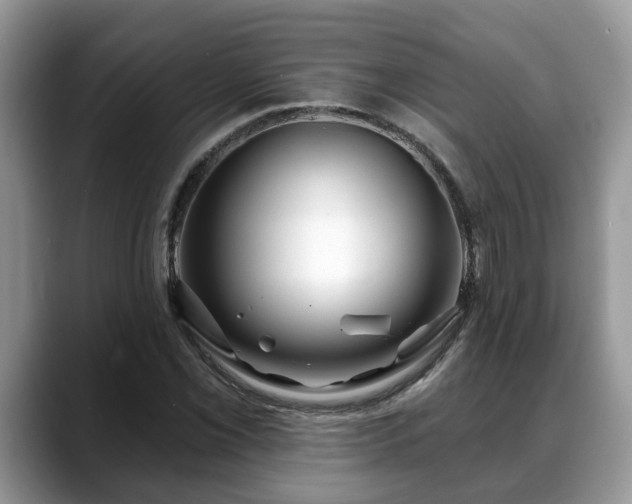 X0000088671069200706071455