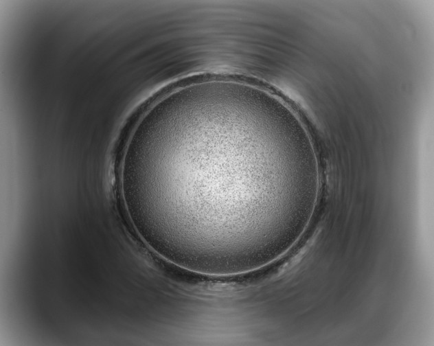 X0000088671070200706071455