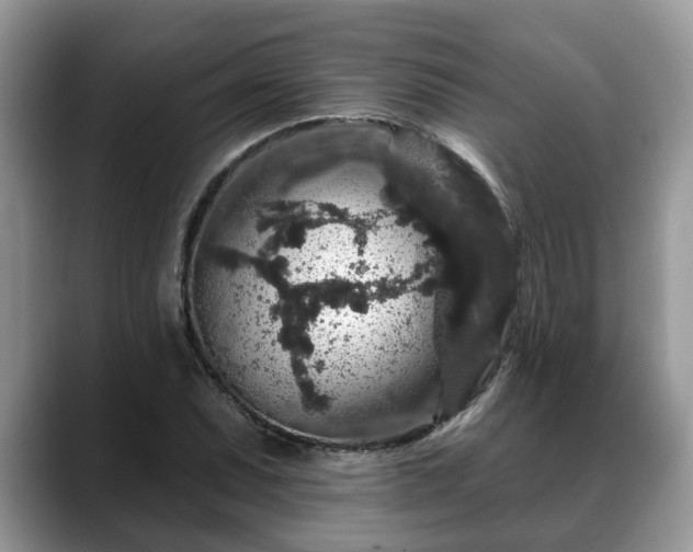 X0000088671071200706071455