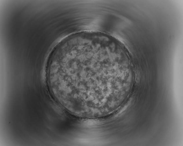 X0000088671074200706071455
