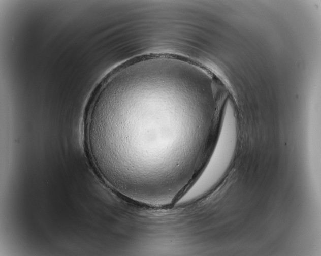 X0000088671076200706071455