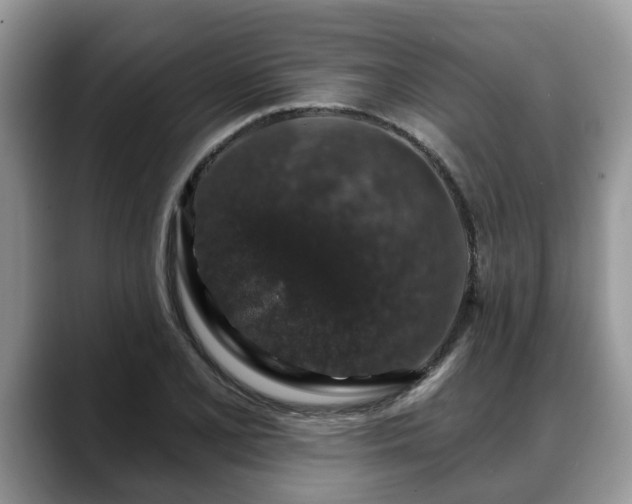 X0000088671077200706071455
