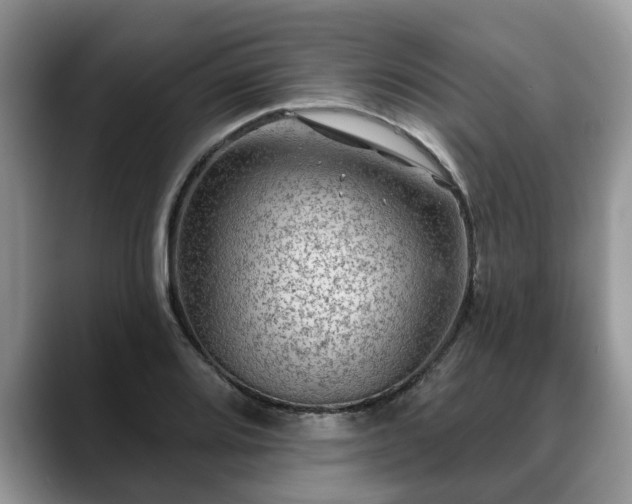 X0000088671080200706071455