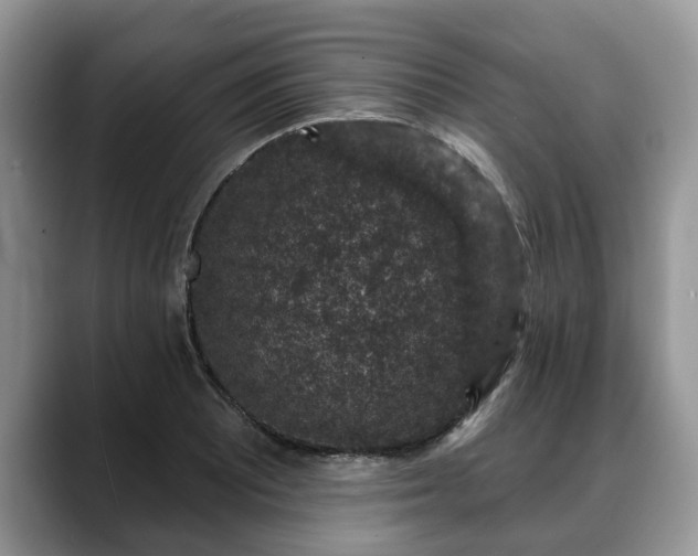 X0000088671081200706071455