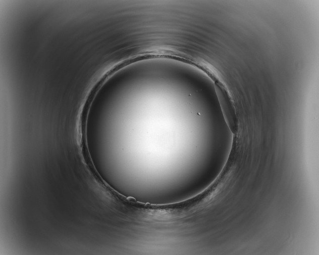 X0000088671082200706071455