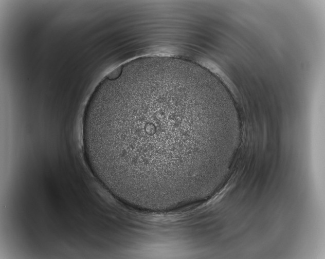 X0000088671083200706071455