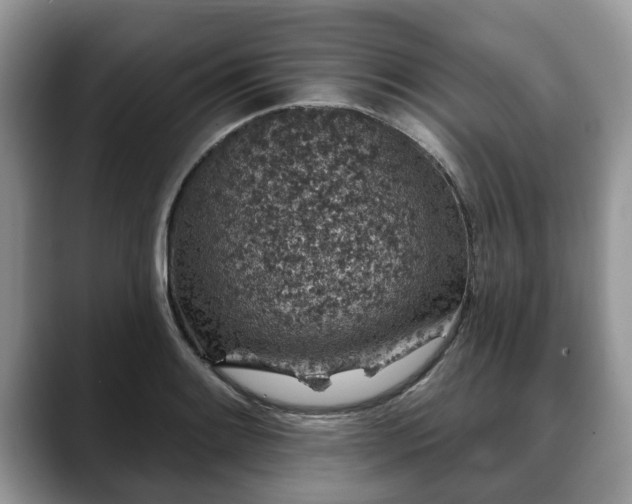 X0000088671084200706071455