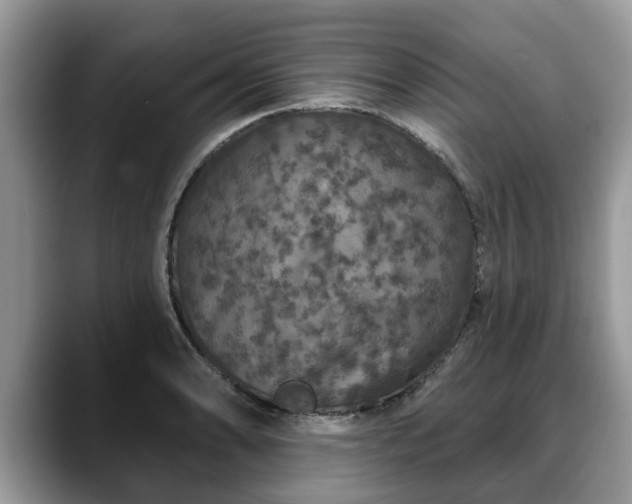 X0000088671086200706071455