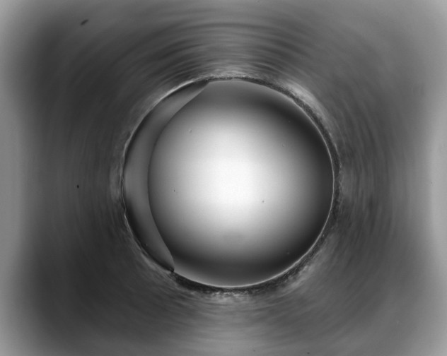 X0000088671089200706071455