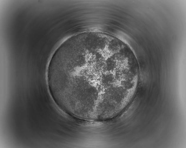 X0000088671090200706071455