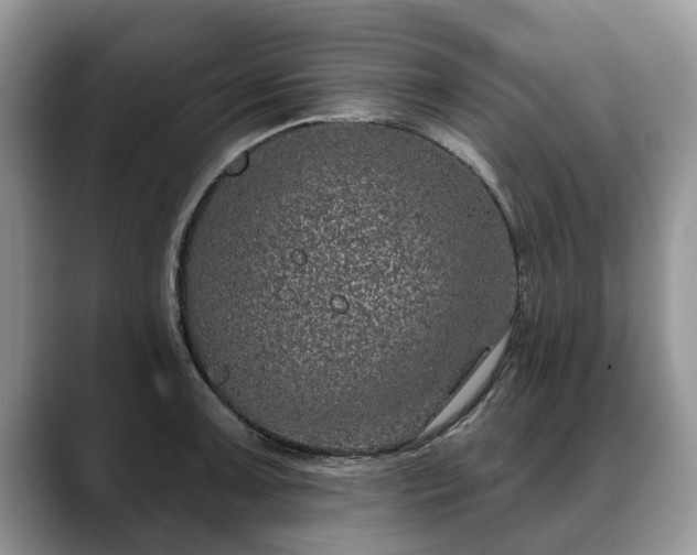 X0000088671091200706071455
