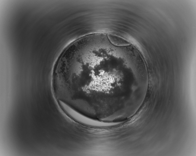 X0000088671095200706071455