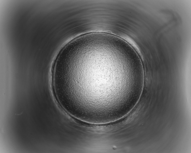 X0000088671096200706071455