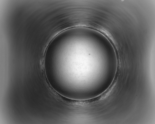 X0000088671097200706071455
