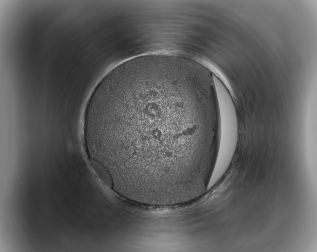 X0000088671099200706071454