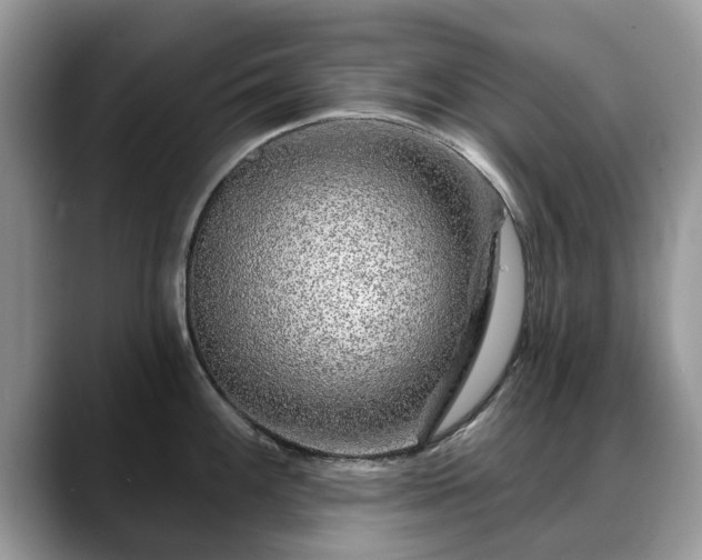 X0000088671100200706071454