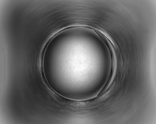X0000088671101200706071454