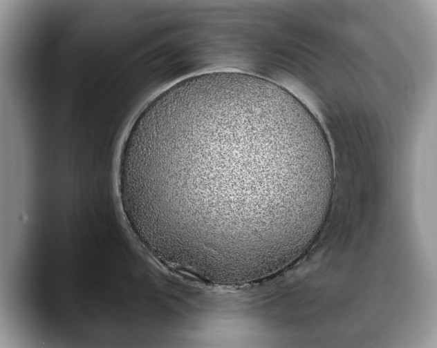 X0000088671104200706071454