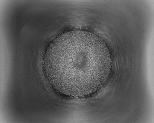 X0000088671105200706071454
