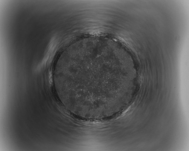 X0000088671106200706071454