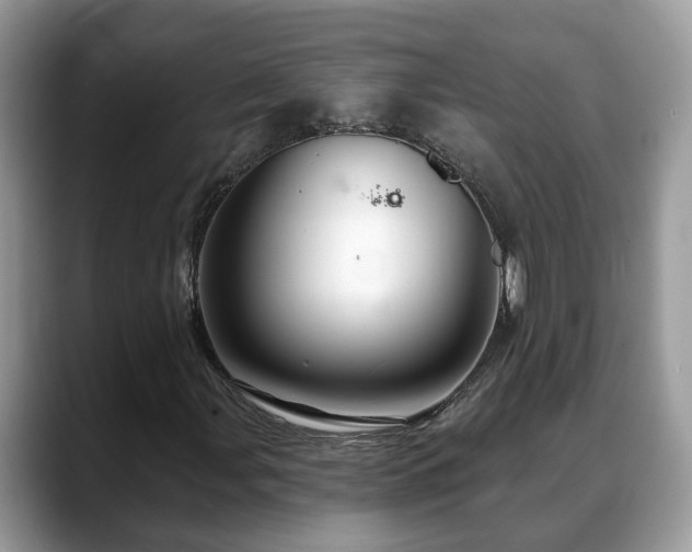X0000088671107200706071454