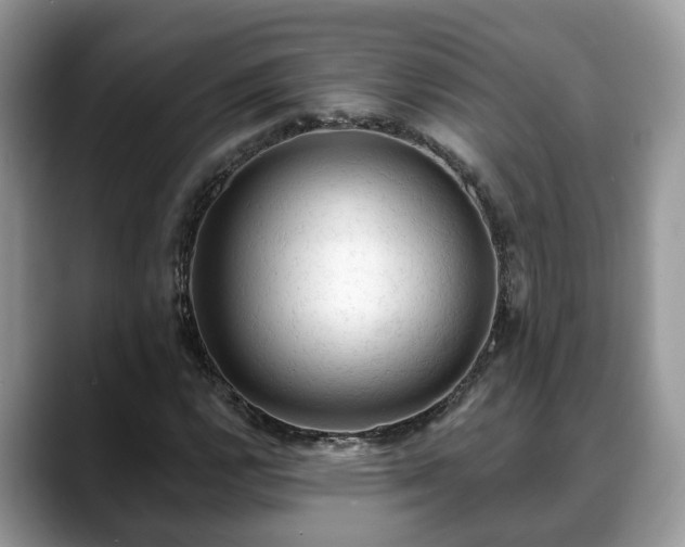 X0000088671112200706071454
