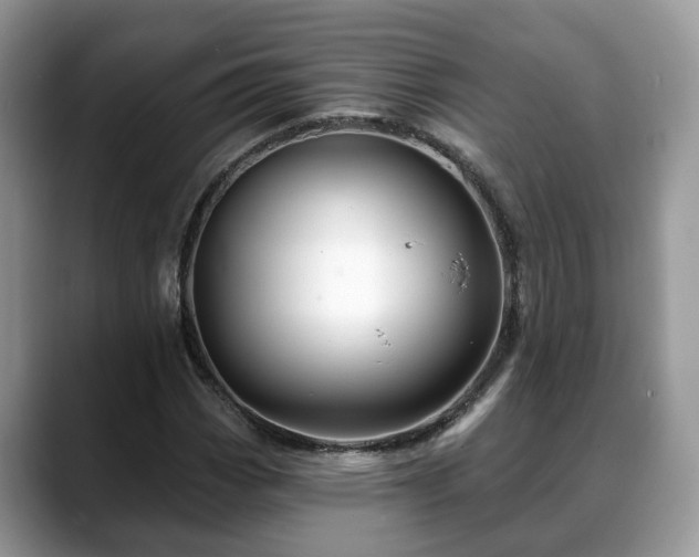 X0000088671113200706071454