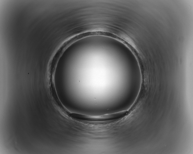 X0000088671116200706071454