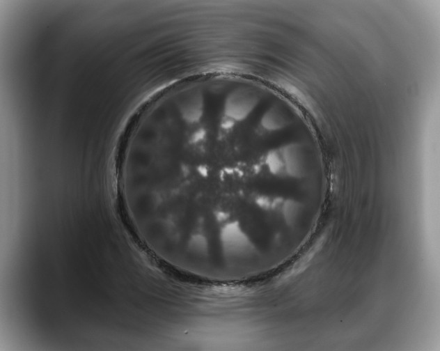 X0000088671117200706071454