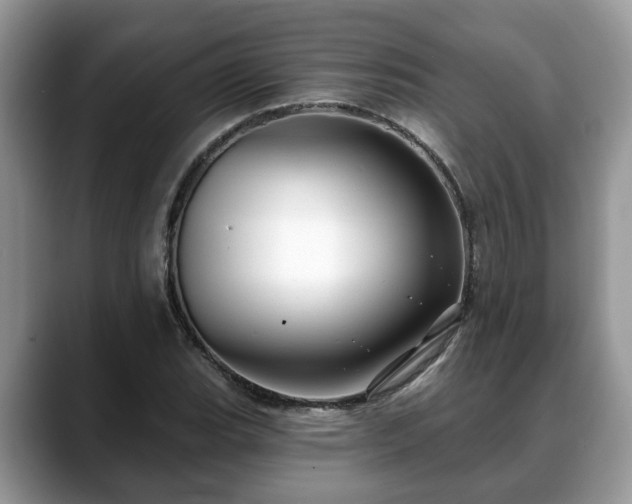 X0000088671119200706071454