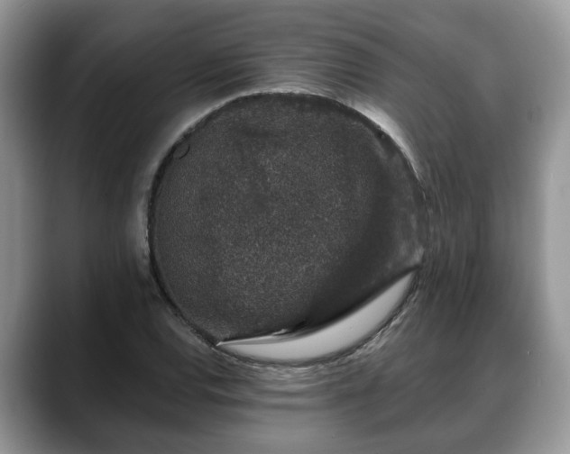 X0000088671120200706071454