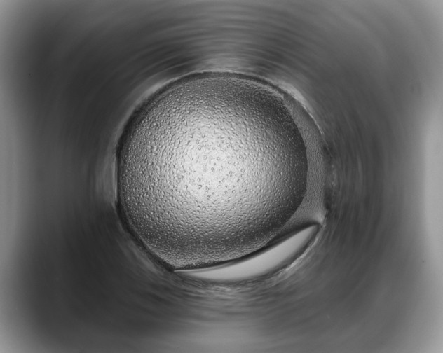 X0000088671123200706071454