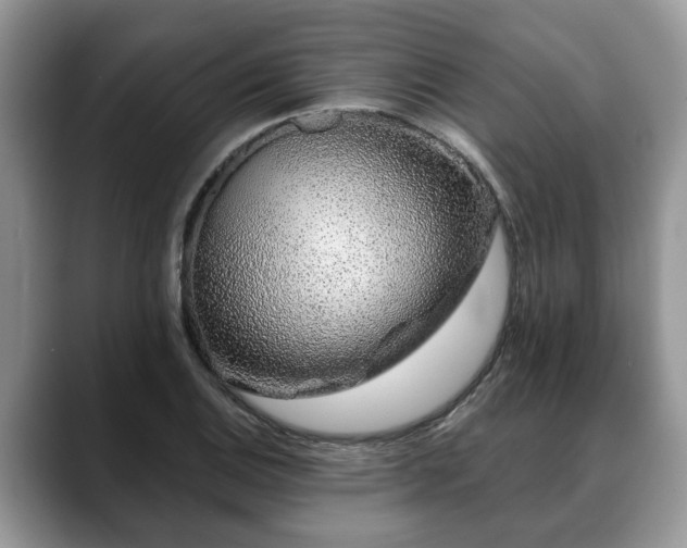 X0000088671124200706071454