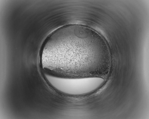 X0000088671125200706071454