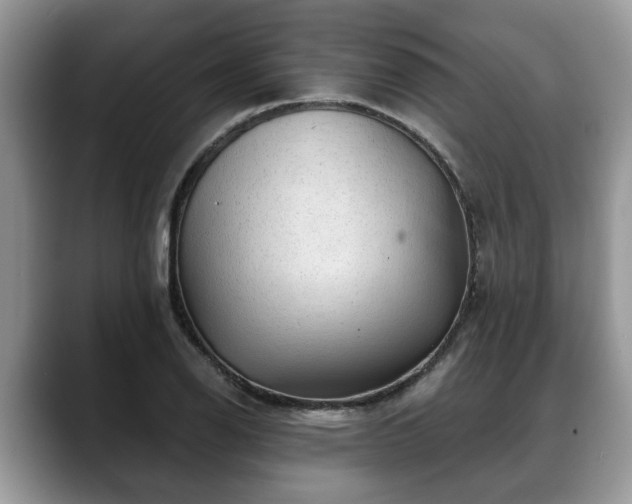 X0000088671126200706071454