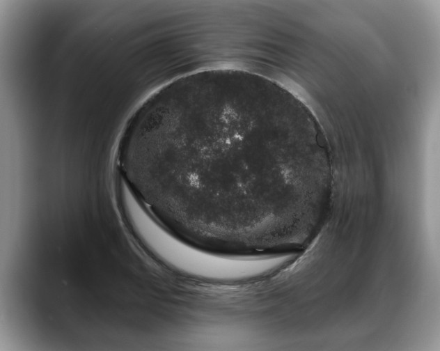 X0000088671127200706071454