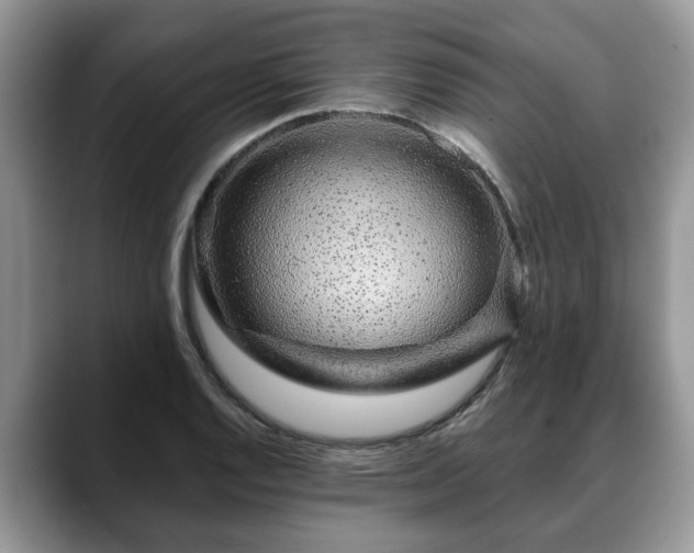 X0000088671128200706071454
