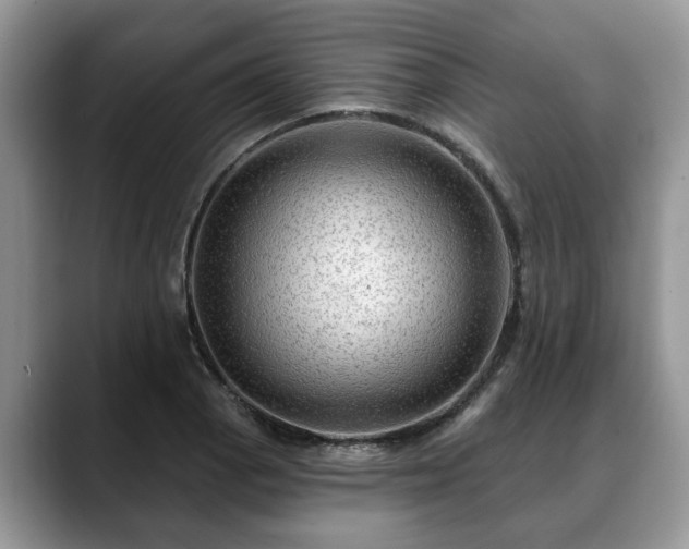 X0000088671129200706071454