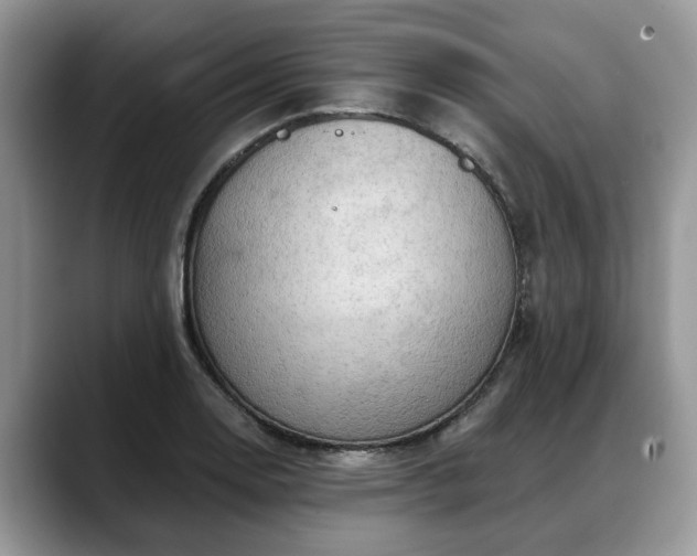 X0000088671130200706071454