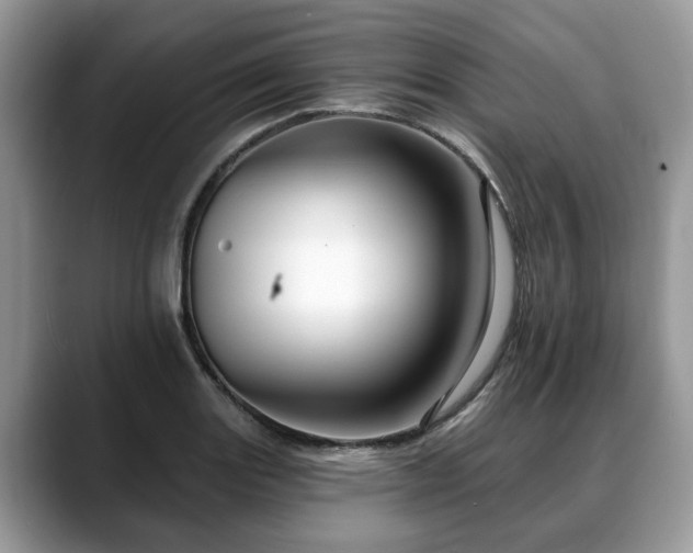 X0000088671131200706071454