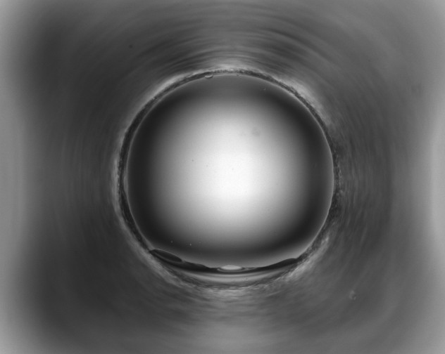 X0000088671134200706071454