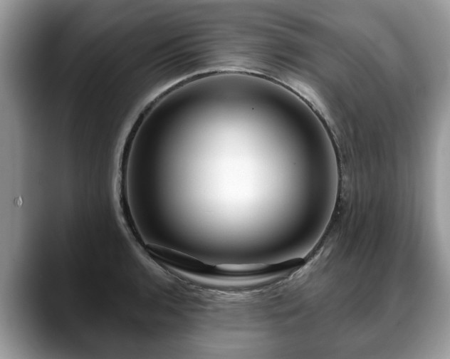 X0000088671136200706071454