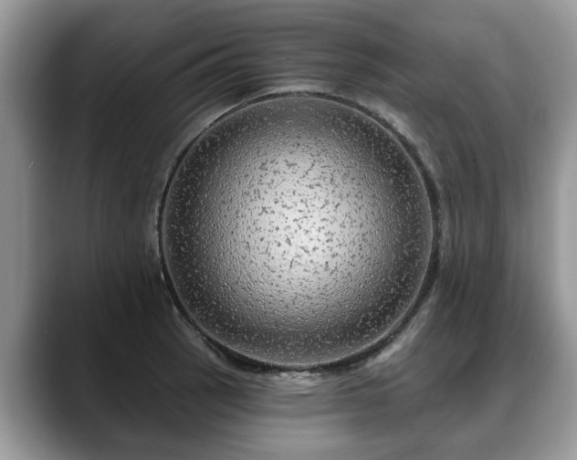 X0000088671137200706071454