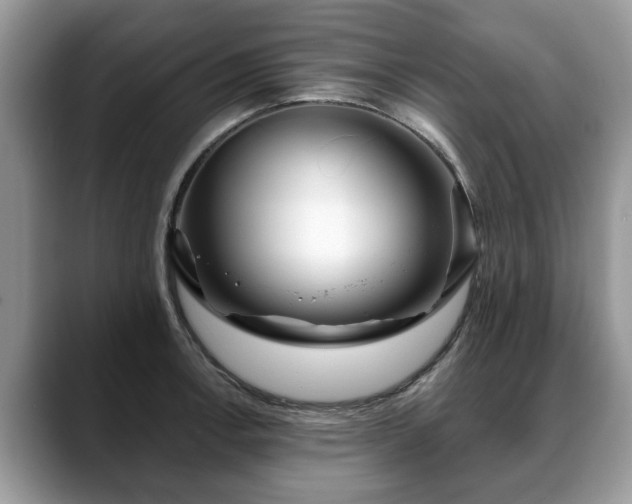X0000088671138200706071454