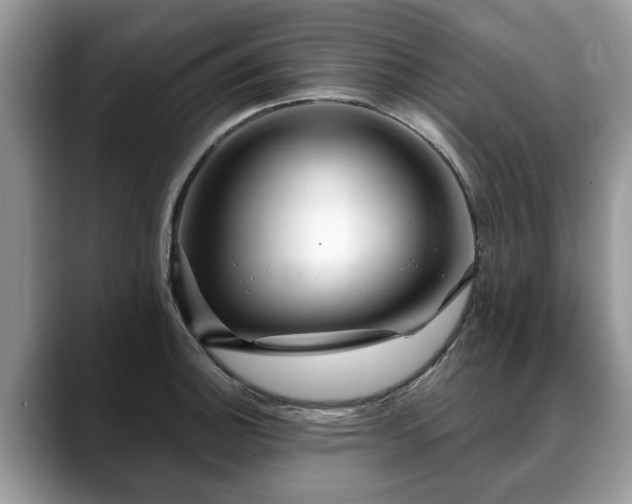 X0000088671140200706071454