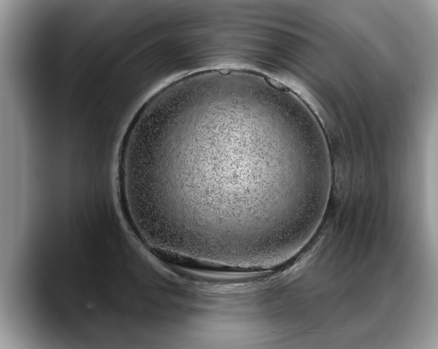 X0000088671142200706071454