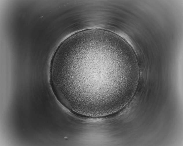 X0000088671143200706071454
