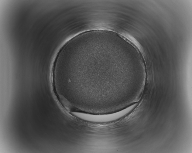 X0000088671144200706071454