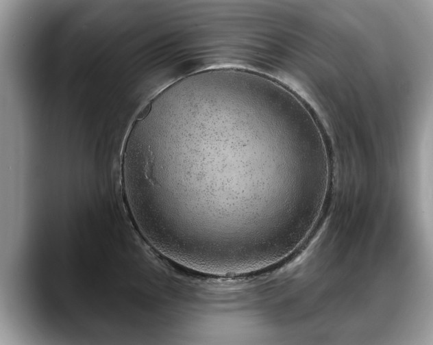 X0000088671145200706071454